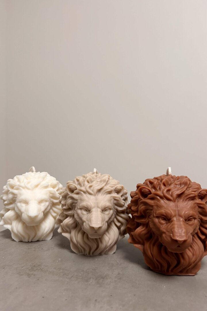 lion king komplekts