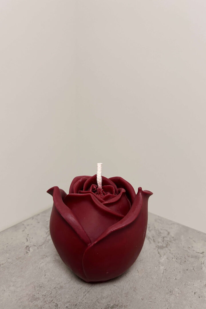 Bordo Rose